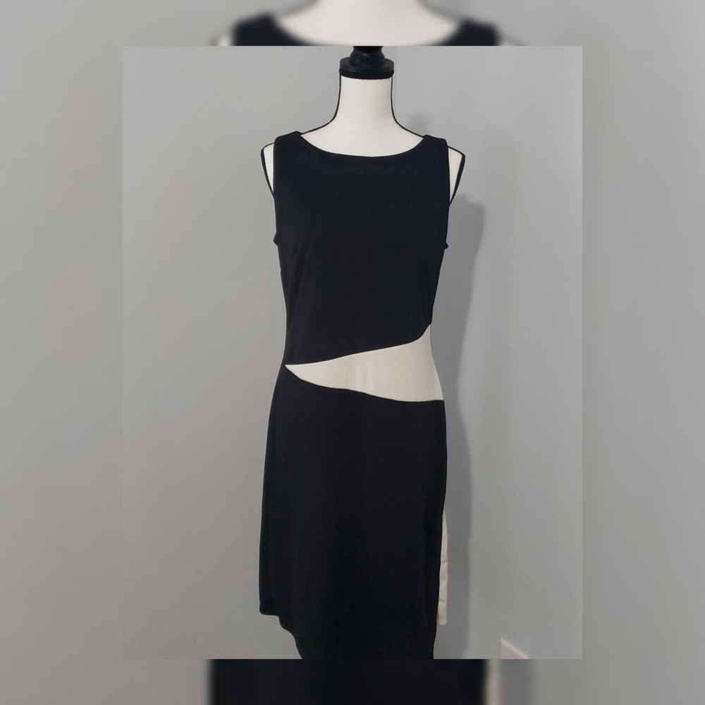 Express Sleeveless Colorblock dress